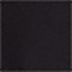Polo Black