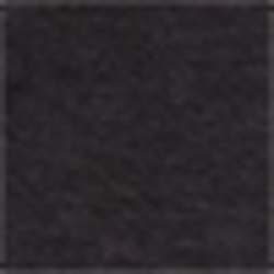 Polo Black