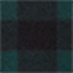 Forest/Black