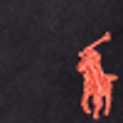 Polo Black