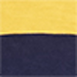 Cruise Navy/ Gold Bugle