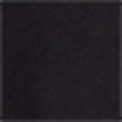 Polo Black