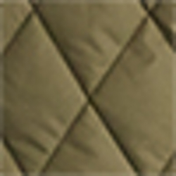 Expedition Olive
