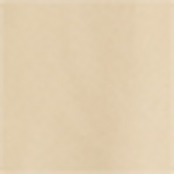 Coastal Beige