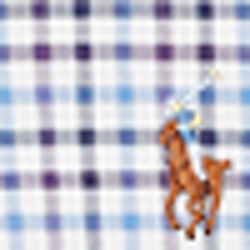 2448c Wine/Blue Multi