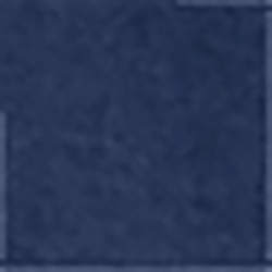 Dark Indigo