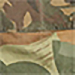 2784 Camo
