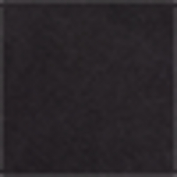 Polo Black