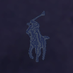 Hunter Navy