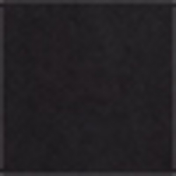 Polo Black