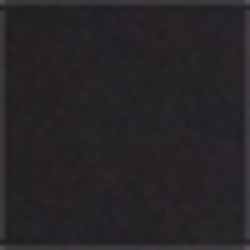 Polo Black