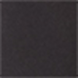 Polo Black