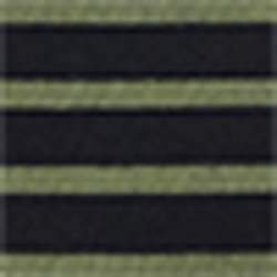 Polo Black/Admiral Green