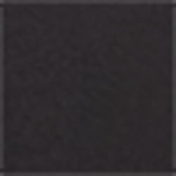 Polo Black
