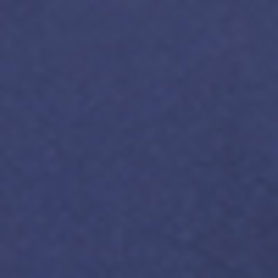 Spring Navy