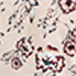 Pink Multi