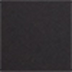 Polo Black