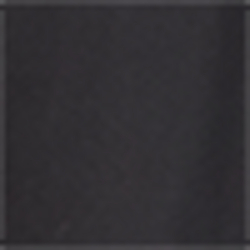 Polo Black