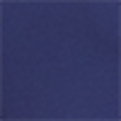 Dutch Blue