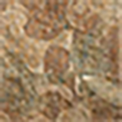Sand