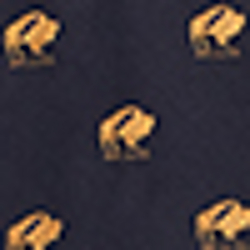 Indigo/Gold