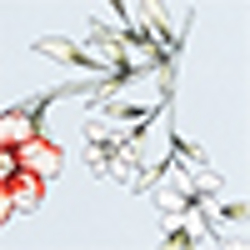 Azure Mist/Multi