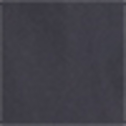 Polo Black