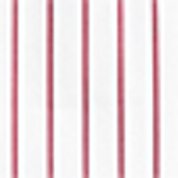 White/Red Multi