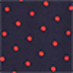 Navy/Crimson