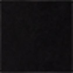 Polo Black