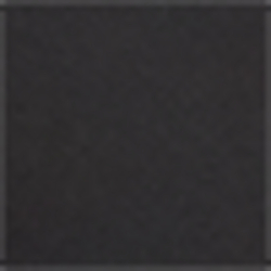 Polo Black