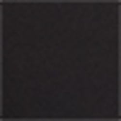 Polo Black