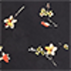 Multi