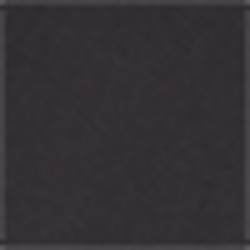 Polo Black