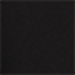 Polo Black