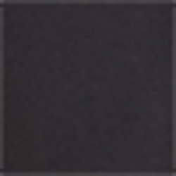 Polo Black