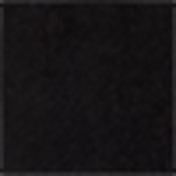 Polo Black