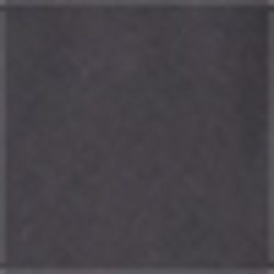 Polo Black