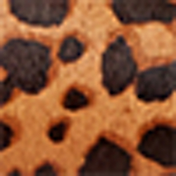 Leopard/Dark Brown