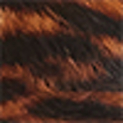 Leopard/Dark Brown
