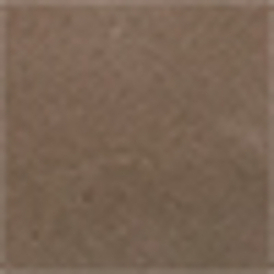 Light Taupe/Light Taupe