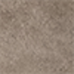 Light Taupe