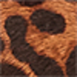 Leopard/Dark Brown