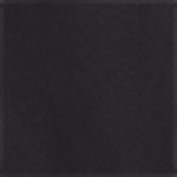 Polo Black