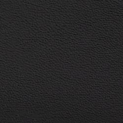 Black/RL Gold