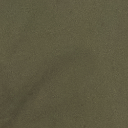 Expedition Olive