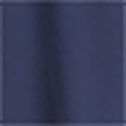 French Navy