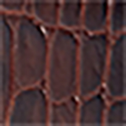 Chocolate/Black