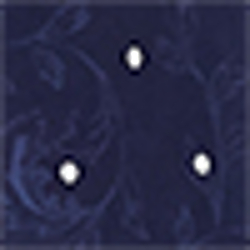 Navy Prt
