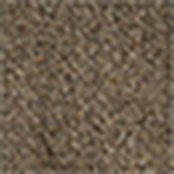 Brown Multi